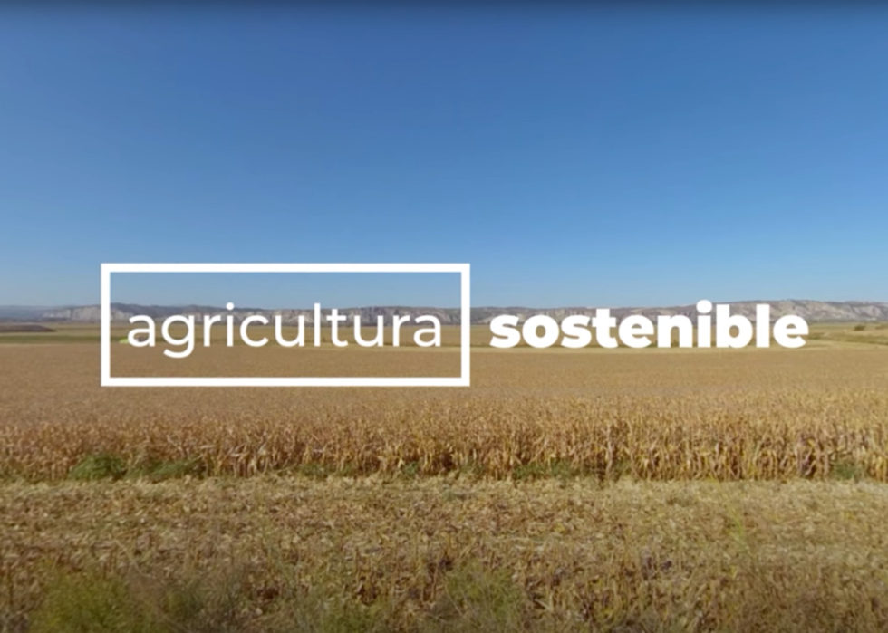 La Importancia De La Agricultura Sostenible En 360° - Grupo AN