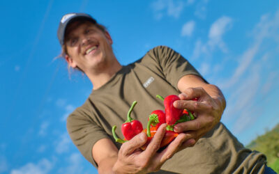 Viaje al origen del piquillo