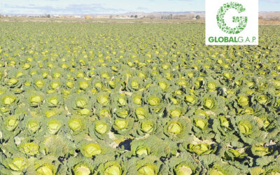 El Grupo AN impulsa la sostenibilidad y la seguridad alimentaria con GLOBALG.A.P.